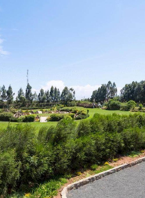 comfort gardens nanyuki outside