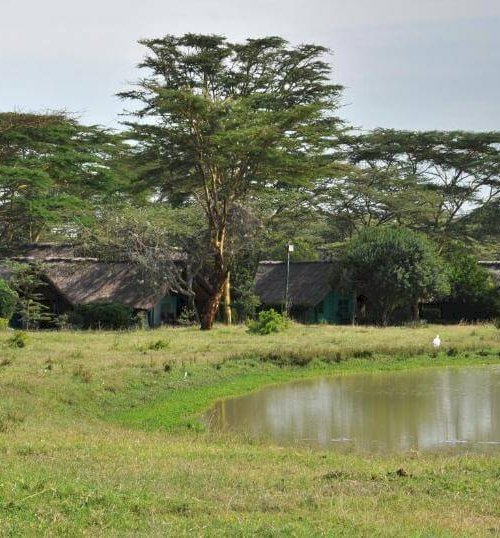 sweetwters serena camp view